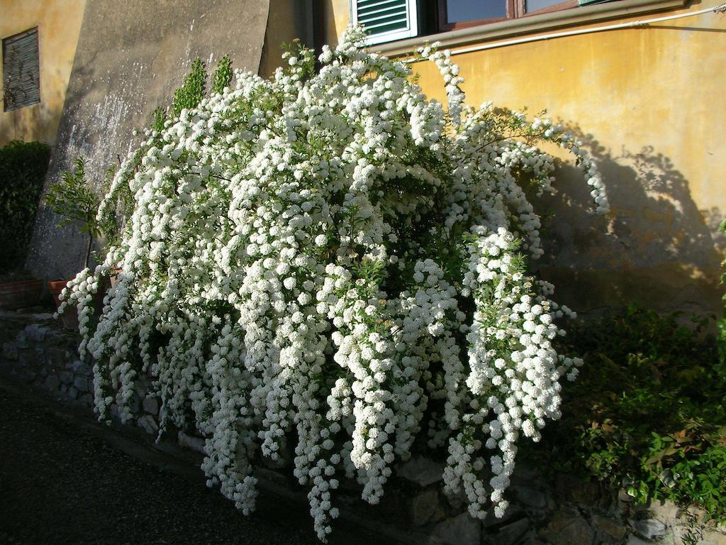 Locanda Giolica Prato  Exterior foto